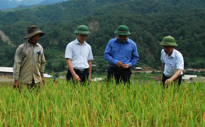 Cần phát huy tốt “hạt giống” chính trị – Bài 2: Chi bộ là hạt nhân, đảng viên là nòng cốt