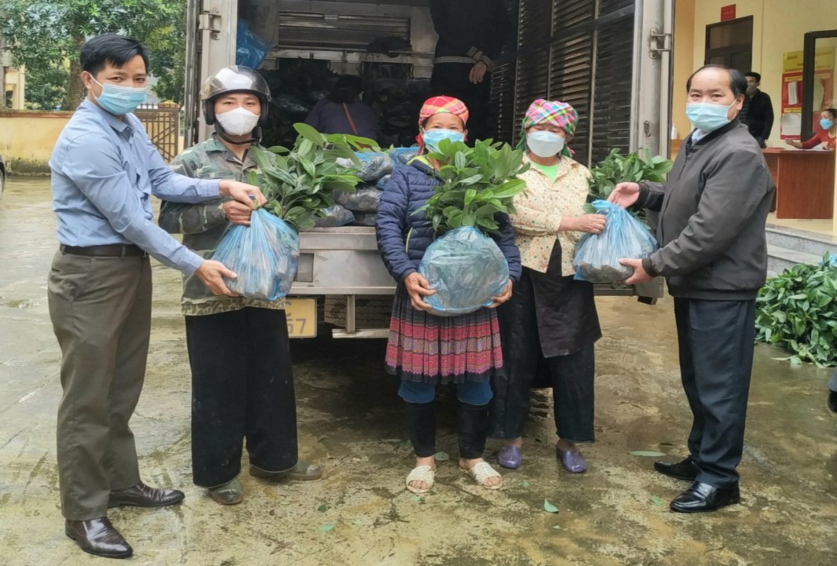 Đảng ủy Khối triển khai kế hoạch hỗ trợ cây giống cho các hộ nghèo xã Suối Bu, huyện Văn Chấn, năm 2022