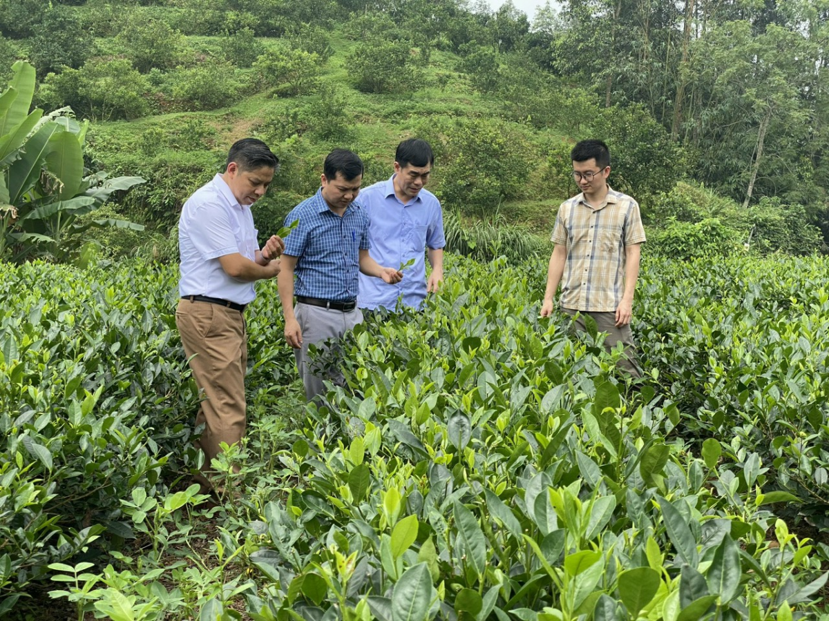 Đảng ủy Khối cơ quan và doanh nghiệp tỉnh có 324 mô hình và 597 điển hình tiên tiến học tập và làm theo tư tưởng, đạo đức, phong cách Hồ Chí Minh được đăng ký