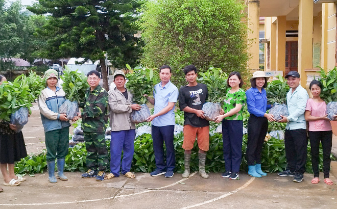 Trường Chính trị tỉnh trao 30 nghìn cây quế giống cho hộ nghèo tại xã Nghĩa Sơn, Văn Chấn