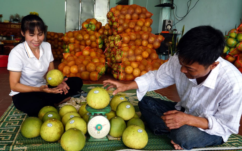 Chuyển đổi số “chắp cánh” đưa nông sản Yên Bái vươn xa